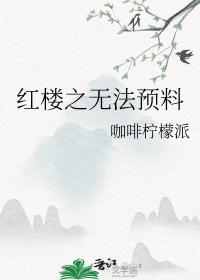 红楼之无法预料