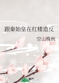 跟秦始皇在红楼造反